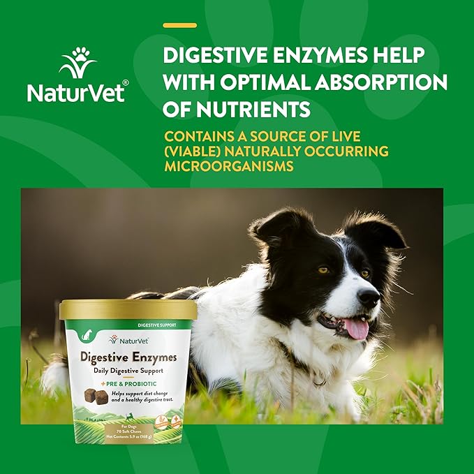 NaturVet  Digestive Enzymes - Plus Probiotics & Prebiotics  Helps Support Diet Change & A Healthy Digestive Tract  for Dogs (Soft Chews, 70 Count)