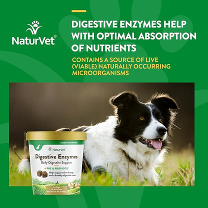 NaturVet  Digestive Enzymes - Plus Probiotics & Prebiotics  Helps Support Diet Change & A Healthy Digestive Tract  for Dogs (Soft Chews, 70 Count)