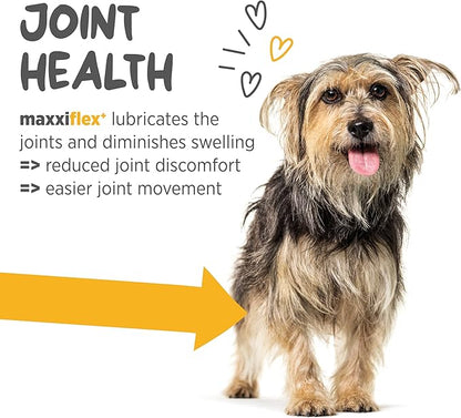 maxxipaws - maxxiflex+ Hip & Joint Supplement for Dogs with Glucosamine, Chondroitin, MSM & Collagen | Mobility, Flexibility & Discomfort Support | Senior, Adult & All Breeds | 120 Tablets