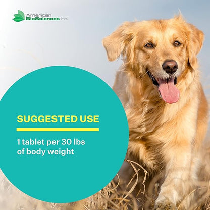 American BioSciences DGP, All-Natural Joint Supplement for Dogs - Joint Support with Turmeric, Boswellia Extract & More - Quick Effect for Pet Mobility Support - 120 Chewable Tablets (Pack of 2)