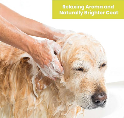 Dog Shampoo  Cleansing Wash, Conditioning, Moisturizing  Healthy Ingredients  Aromatic Grooming Puppy Shampoo  Tearless Cleaner, Lemongrass Vanilla Bean 13.5 oz