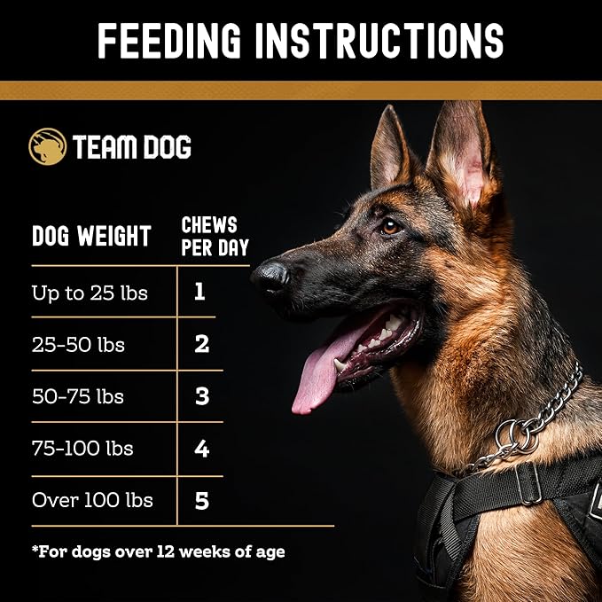 TEAM DOG Omega Skin and Coat Chews for Dogs | Wild Alaskan Salmon Oil for Dogs Skin and Coat Supplement | Allergy & Itchy Skin Relief for Dog Shedding | for a Glowing Coat & Healthy Skin | 120 Count