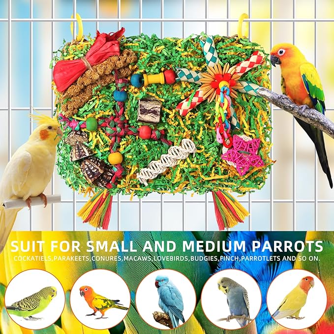 Bird Toys Parakeet Toys,Large-Sized Parrot Foraging & Shredding Cage Hanging Toys with Seagrass Mat for Budgies,Cockatiels,Lovebirds,Conures Small & Medium Parrots (Colorful with Starfruit (1PCS))