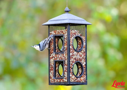 Lyric Delite Wild Bird Seed - No Waste Bird Food Mix with Shell-Free Nuts & Seeds - Attracts Buntings, Chickadees & Finches - 20 lb bag