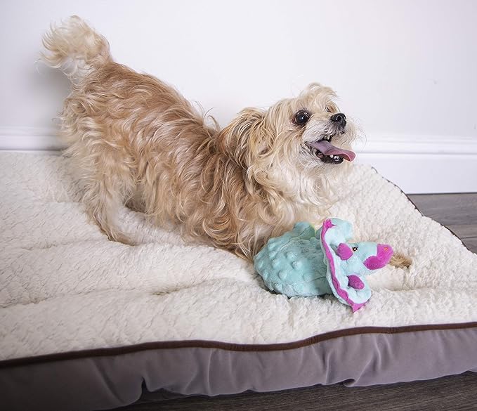 goDog Dinos Frills Squeaky Plush Dog Toy, Chew Guard Technology - Teal, Small