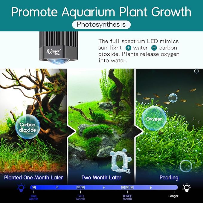 hygger 100W Aquarium Light Full Spectrum RGB COB LED Clip On Fish Tank Grow Light with Mounting Bracket Compatible with Timer Smart Plug for Low-to-High Light Demanding Aquatic Plants