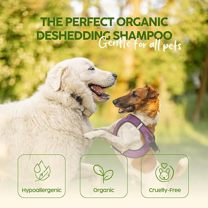 King Kanine Natural Dog & Cat Shampoo King Klean 16 oz | Organic Pet Shampoo for Sensitive & Dry Skin | Hypoallergenic Gentle Cleansing Formula for Pet Allergies