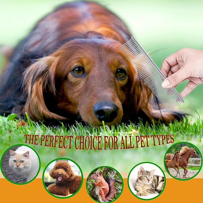 Dog Comb and Cat Combs Stainless Steel Teeth, Grooming Tool for Long & Short Hair, Dematting Comb for Dogs, Removes Tangles & Knots (Small and Large Silver)