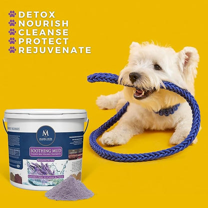 Madra Mor Soothing Dog Essentials Mud Bath | Dog Bath Dog Hot Spot Treatment for Dog Allergy & Dog Itch Relief | Dog Coat Skin Care Products | 7.5lb Pail w Worldwide Nutrition Multi Purpose Key Chain