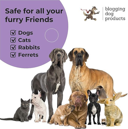 Dog Perfume Spray Long Lasting - Pet Odor Eliminator - Dog Cologne Spray - Premium Dog Deodorant Spray for Smelly Dogs - Refreshing Dog Deodorizer Spray for Grooming