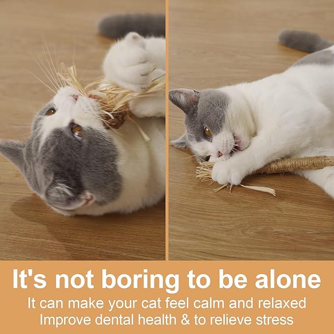 PAZ'S GIFT Catnip Toy cat Toys Catnip Toy cat chew Toy cat Kicking silvervine Stick Teeth Cleaning Cute Kitten Teething Indoor Interactivecat Dental Care Matatabi (Chewing cat Toys)