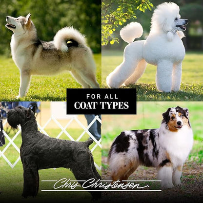 Chris Christensen 35mm Pin Dog Brush, Gold Series, Groom Like a Professional, Gold-Plated Stainless Steel Pins, Perfect for Fragile Coats, 30% More Pins, Ground and Polished Tips