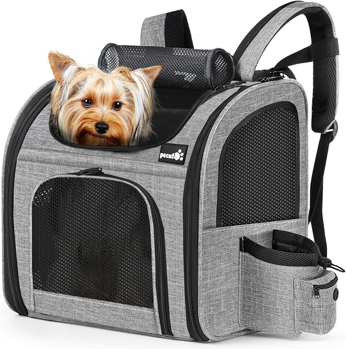 Pecute Cat Carrier Dog Backpack, Backpack for Small Pets, Portable Breathable Rucksack with Front Opening-Mesh Window-Pockets, Airy Space for Carrying Puppy Dogs and Cats