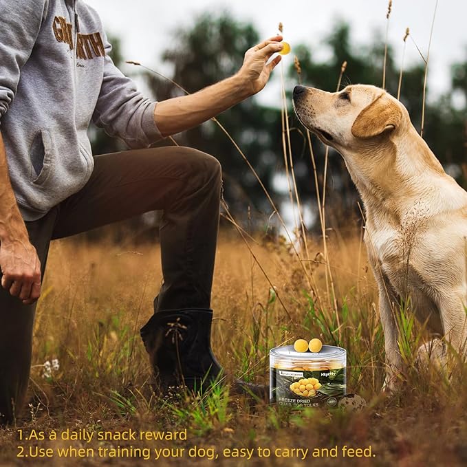 Freeze Dried Cat and Dog Treats Quail Egg Yolk, Healthy Tasty Snacks for Cats Dogs Training, Natural Freeze-Dried Limited Ingredient Quail Egg Yolk,Wholesome and Delicious Snacks for Pets