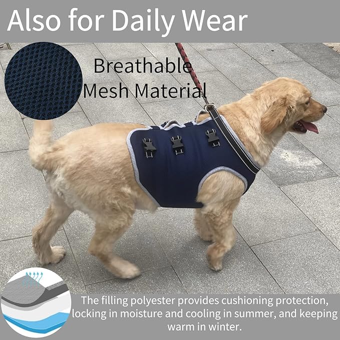 Dog Lift Harness, Recovery Sling Support Vest Stair Lift for Front Legs Only, Mobility Carrier with Handle for Senior, Elderly, Disabled, Joint Injuries, Arthritis, Paralysis- Large