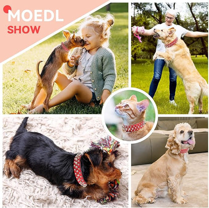 PETCARE Spiked Dog Collar Red Soft Pu Leather Funny Mushrooms Rivet Spike Studded Puppy Collar Adjustable Outdoor Pet Dog Collar for Small Medium Large Dogs Cats Chihuahua Pug Pit Bull Dog Collars