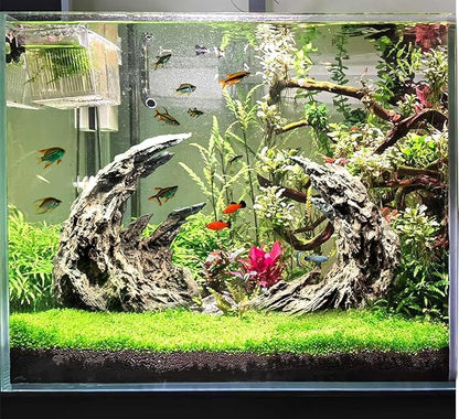 Novelsite Fish Tank Decor- Jagged Canyon Rock Formation ，Made of Solid Sandstone，Suitable for a Variety of Fish Tank Scenes, DIY Planting Moss, Safe and Non-Toxic