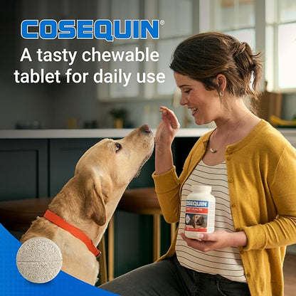 Nutramax Laboratories Cosequin Maximum Strength Joint Health Supplement for Dogs - With Glucosamine, Chondroitin, and MSM, 2 Pack, 264 Total Chewable Tablets