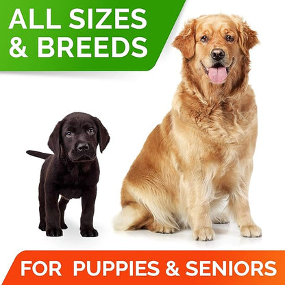 STRELLALAB Dog Probiotics Chews for Digestive Health & Gut Support with Yeast and Enzymes - Anti Gas, Diarrhea and Upset Stomach Immune Supplement - Digestion Treats with Fiber (240Ct, Chicken)