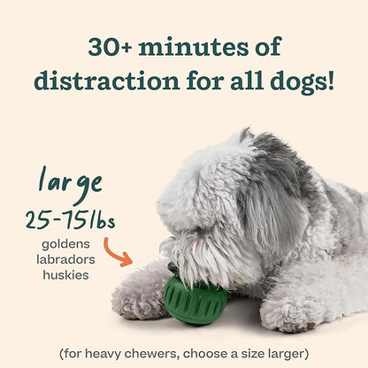 WOOF Pupsicle - Long-Lasting Interactive Dog Toy to Keep Your Pup Distracted - Safe for Dogs - Low-Mess Design - Dog Toys for Large Dogs 25-75 lbs