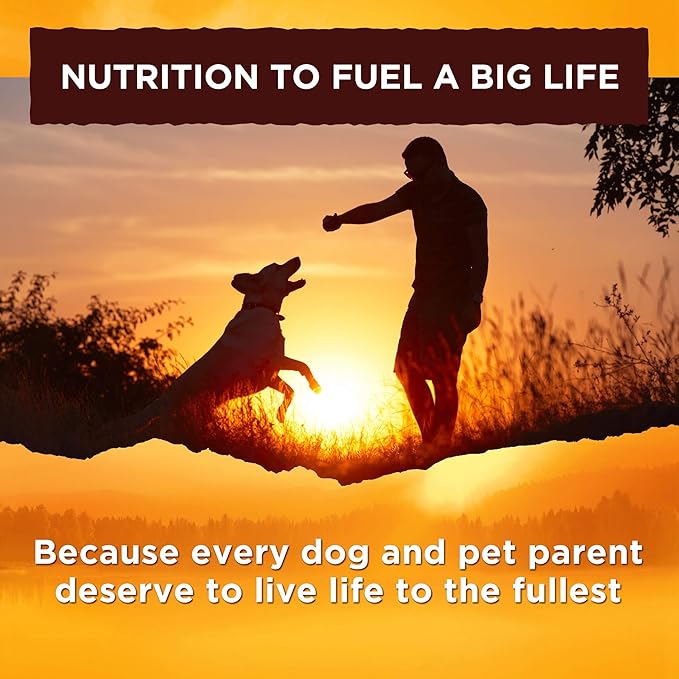 Nature's Recipe Grain Free Dog Food, Chicken, Sweet Potato & Pumpkin Recipe, 4 Pounds, Easy to Digest