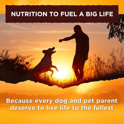 Nature's Recipe Grain Free Dog Food, Chicken, Sweet Potato & Pumpkin Recipe, 4 Pounds, Easy to Digest