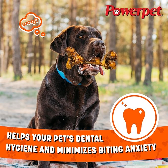 Powerpet Jr. Mammoth Bone - Halloween Dog Treats, Natural Beef Dog Chew Bones, Digestible Dog Bones w/High Calcium, for Dental Health, Large Breeds & Aggressive Chewers - Odorless, Smoked Flavor 1pc