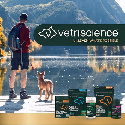 VetriScience Calm & Confident Chews, Composure Clinically Tested Calming Supplement for Dogs, Reduce Stress & Fear, Ideal for Thunderstorms, Fireworks & Travel, Chicken, 120 Count - New Look