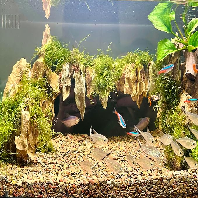 Dragon Stone Aquarium Scenic Stone Natural Porous Stone 2-10 Inch for Freshwater Tanks, Water Pours, Fish Tank Decoration (20lbs)