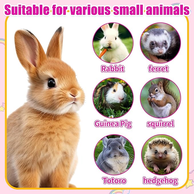 2 in 1 Guinea Pig Food Water Dispenser, Rabbit Water Bottle Leak-Proof, 2 in 1 No-Drip Automatic Dispenser for Guinea Pig Cage, Chinchilla, Ferret, Hamster Small Animal Waterer (Blue, 2 in 1)