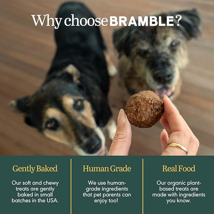 BRAMBLE Dog Treats. Plant-Based Treats for Dogs, Wheat-Free Everyday Dog Treats. Sweet Potato & Peanut Butter, Soft & Chewy Cookies. 8 oz