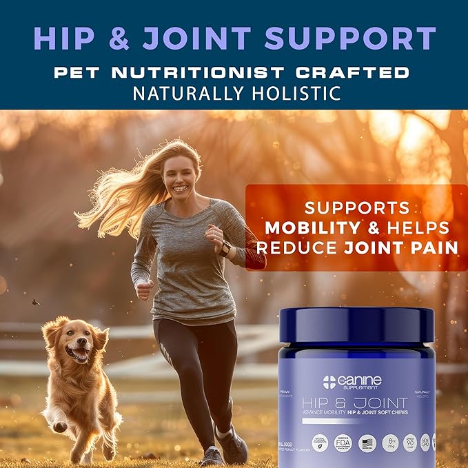 Joint Support for Dogs | Soft Chews with Glucosamine, Chondroitin, MSM & Turmeric | Helps Mobility, Flexibility & Pain Relief | Roasted Peanut Flavor, 90 Count