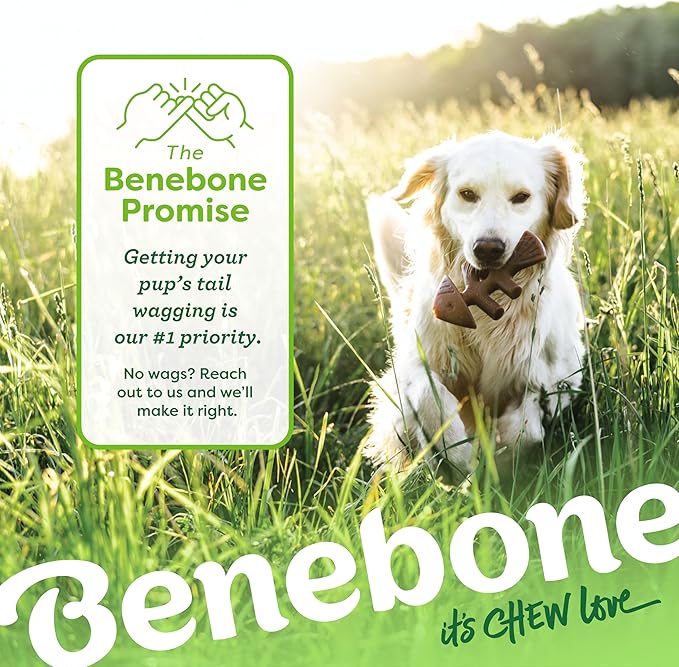 Benebone 2-pack Fishbone/Wishbone Durable Dog Chew Toys, Real Fish, Real Bacon, Made in USA, Small