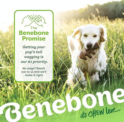 Benebone 2-pack Fishbone/Wishbone Durable Dog Chew Toys, Real Fish, Real Bacon, Made in USA, Large