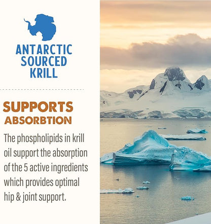 Grizzly Pet Products Joint Aid Liquid Hip and Joint Health Supplement Product for Dogs and Cats, 32 Ounce