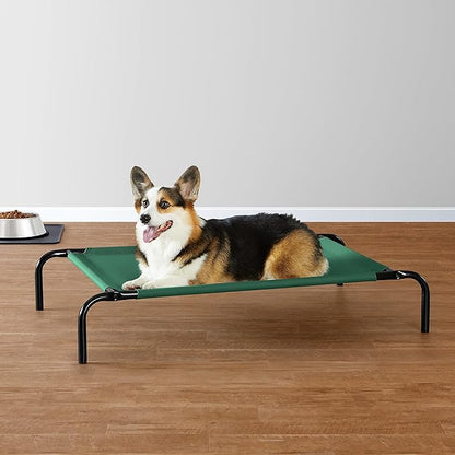 Amazon Basics Cooling Elevated Pet Bed, Medium (43 x 26 x 7.5 Inches), Green