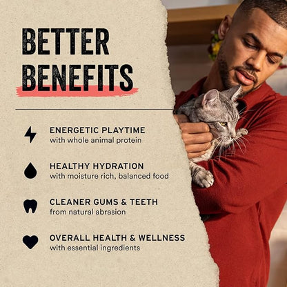 Vital Essentials Freeze Dried Raw Cat Treats, Chicken Giblets, 1 oz (Pack of 2)