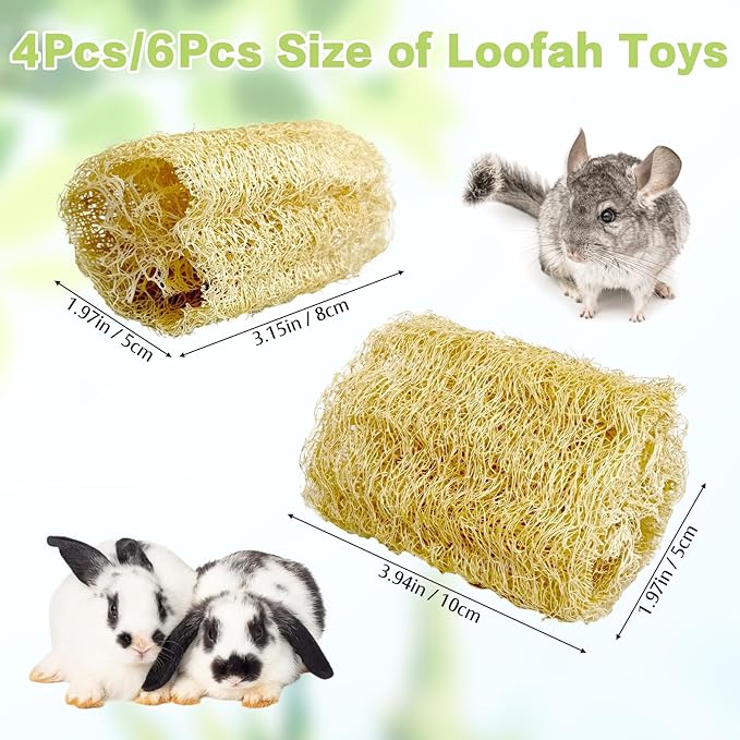 BNOSDM Bunny Chew Toys Natural Loofah 6PCS Bunny Teeth Grinding Toy Rabbit Fiber-Rich Treats Pet Entertainment Accessories for Rabbits Chinchillas Guinea Pig（L）