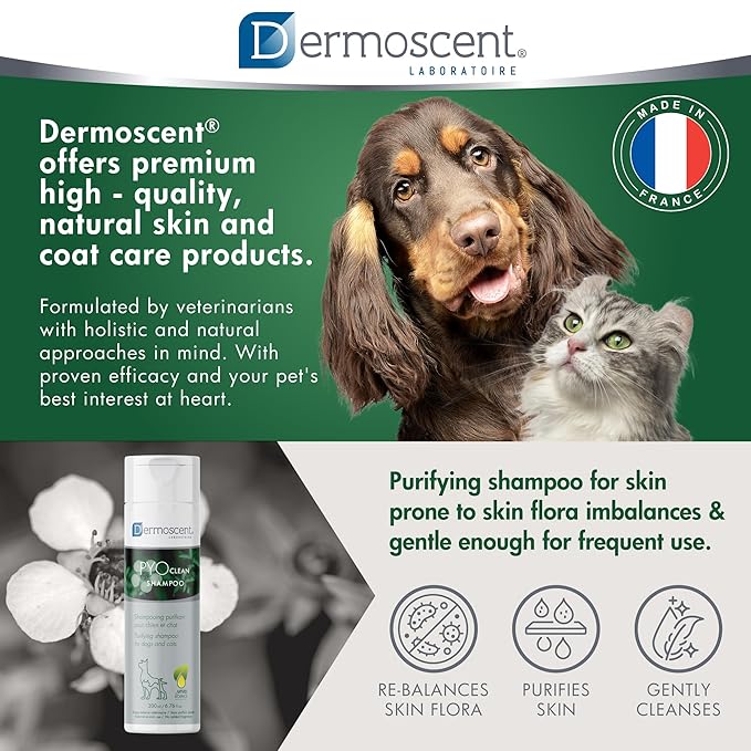 Dermoscent PYOclean Shampoo for Dogs & Cats - Anti-Itch Sensitive Formula to Control Skin Infections & Allergy Symptoms - 200 ml