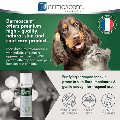Dermoscent PYOclean Shampoo for Dogs & Cats - Anti-Itch Sensitive Formula to Control Skin Infections & Allergy Symptoms - 200 ml