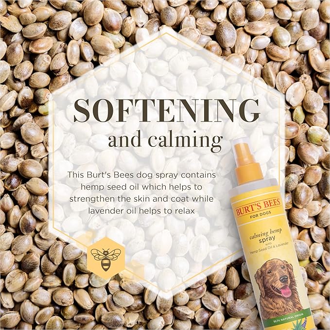 Burt's Bees for Pets Calming Spray with Hemp, 99.7% Natural Origin Formulas, Spray for Calming Dogs, Dog Anxiety Relief Spray, Calming Care for Dogs 10oz
