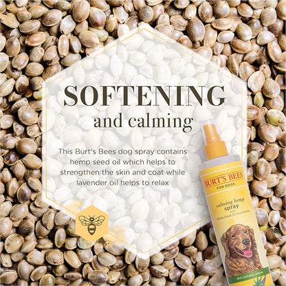 Burt's Bees for Pets Calming Spray with Hemp, 99.7% Natural Origin Formulas, Spray for Calming Dogs, Dog Anxiety Relief Spray, Calming Care for Dogs 10oz