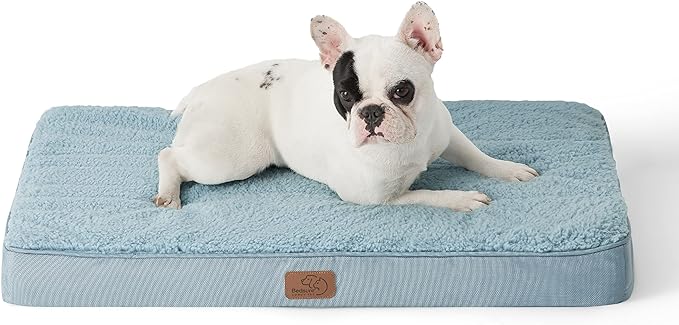 Bedsure Medium Dog Bed for Medium Dogs - Orthopedic Waterproof Dog Beds with Removable Washable Cover, Egg Crate Foam Pet Bed Mat, Suitable for Dogs Up to 50 lbs, Light Blue