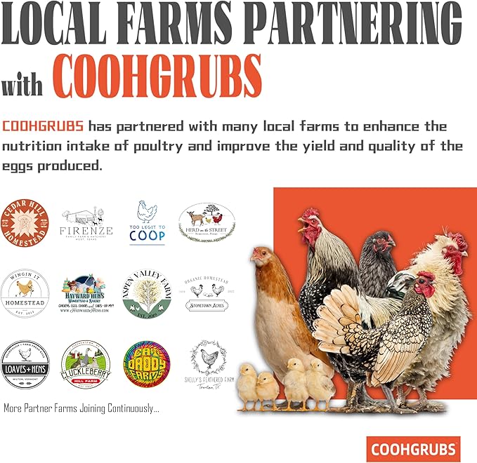 Dried Black Soldier Fly Larvae for Chickens 10 lb - All Natural High-Calcium Poultry Feed & Bird Treats