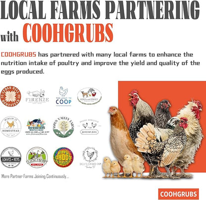 Dried Black Soldier Fly Larvae for Chickens 10 lb - All Natural High-Calcium Poultry Feed & Bird Treats