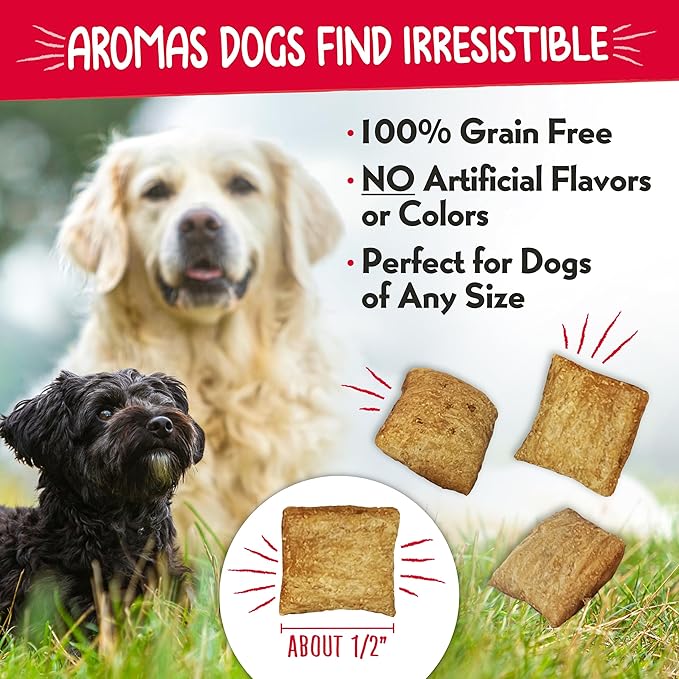 Charlee Bear Nuggets Healthy Dog Treats with Probiotics and Antioxidants to Support Digestion, Immunity, Skin and Coat, 6oz Bags (5), Made USA