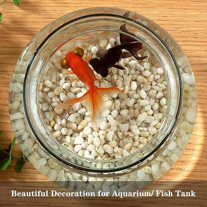 5lb River Rocks Polished Silica Gravel for Plants Garden, Decorative Pebbles Ideal for Fish Tank, Vases, Succulents, Crafting, Home Decor and Garden Landscaping, Snow White(0.2-0.3”)