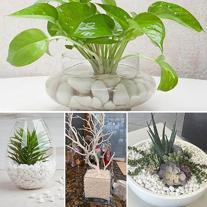 18.7 Lbs Natural River Rocks for Plants 1.6"-2.5" Small White Landscaping Garden Stones White Aquarium Gravel for Decorative Pebbles for Indoor Outdoor Planters