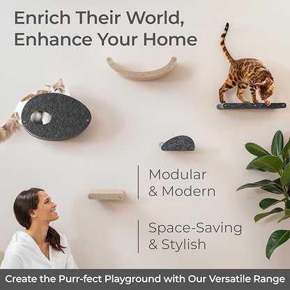Wall Mounted Cat Hammock Bed by Pryde Pets - Floating Perch Curved Shelf, 100% Sustainable PET Felt Feline Enrichment Climber Furniture for Indoor Cats, Modern Climbing Gym Jungle Design (Charcoal)