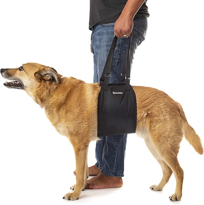 Dog Lift Sling Harness | Heavy Duty Adjustable Sling | Easy Full Body Mobility | Support for Elderly, Senior Dogs with Front/Rear Leg, Knee, Joint, Hip Injuries (XX-Large) Black